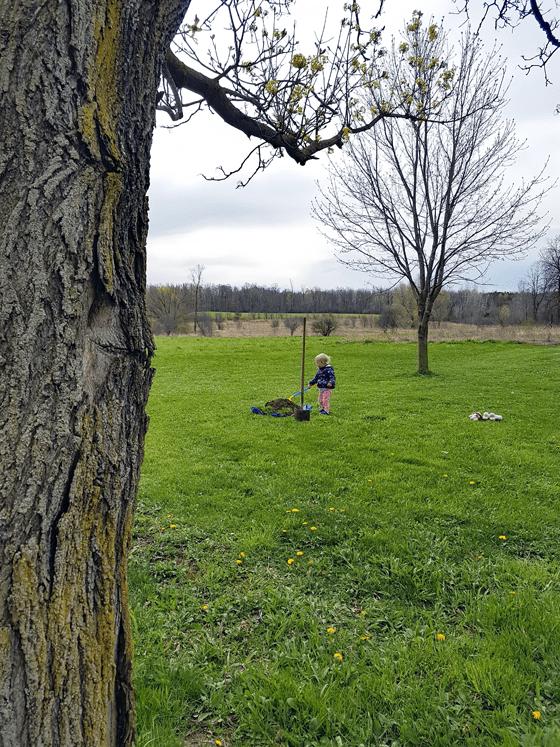 Planting a tree for Mother's Day