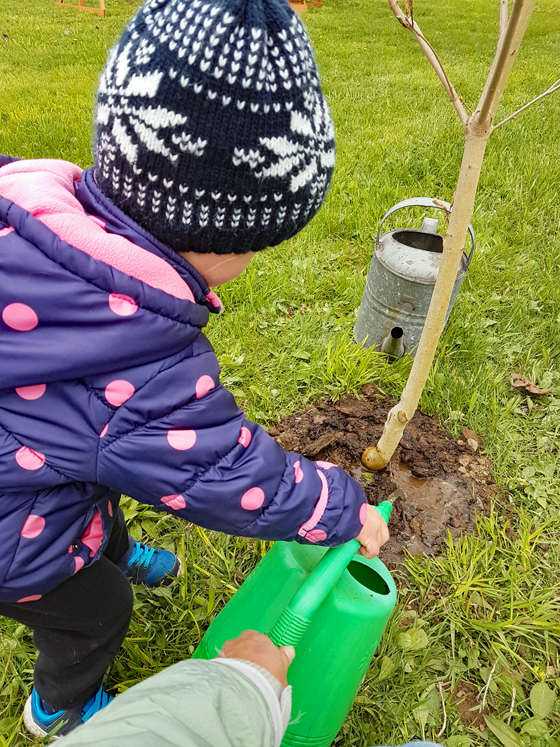 Planting a tree for Mother's Day