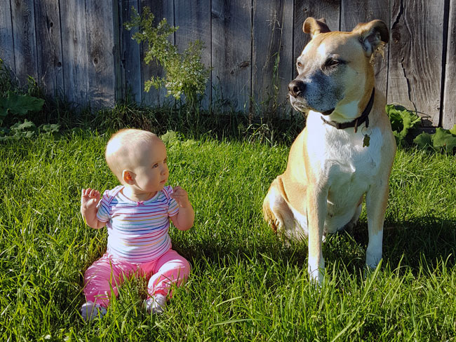Ellie and Baxter sitting on the grass