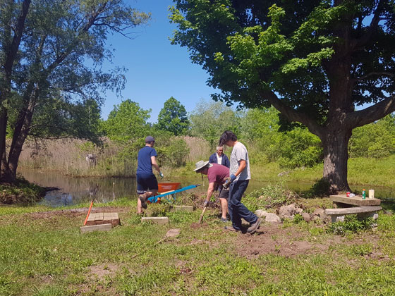 Digging out stumps by the pond