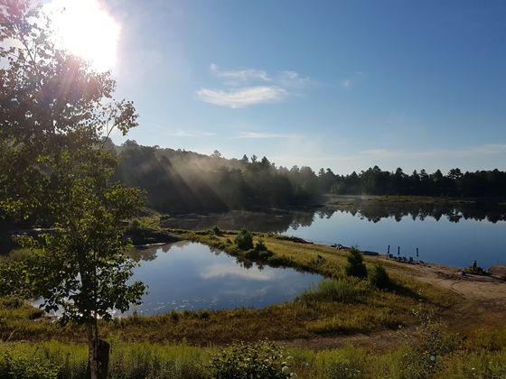 Morning at the cottage