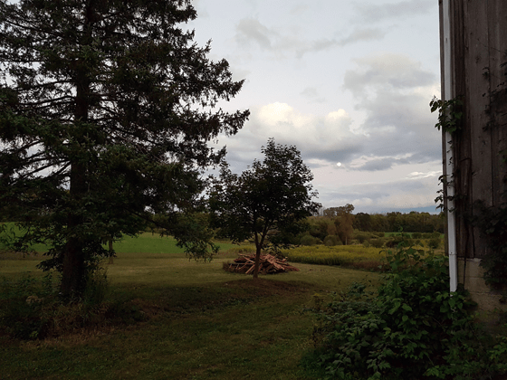 Moonrise over the fields
