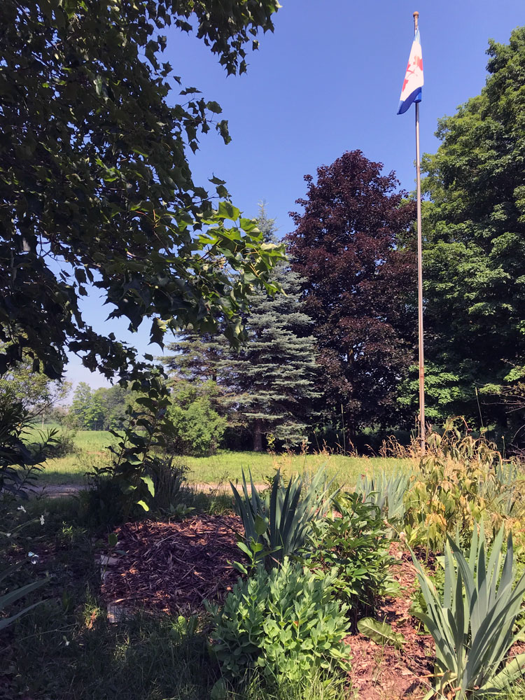 Pearson Pennant flag flying over a flower garden