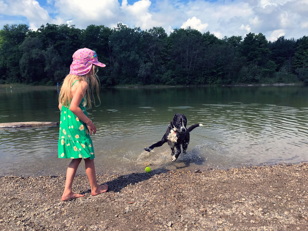 Dog chasing a ball at a beach with a young girl