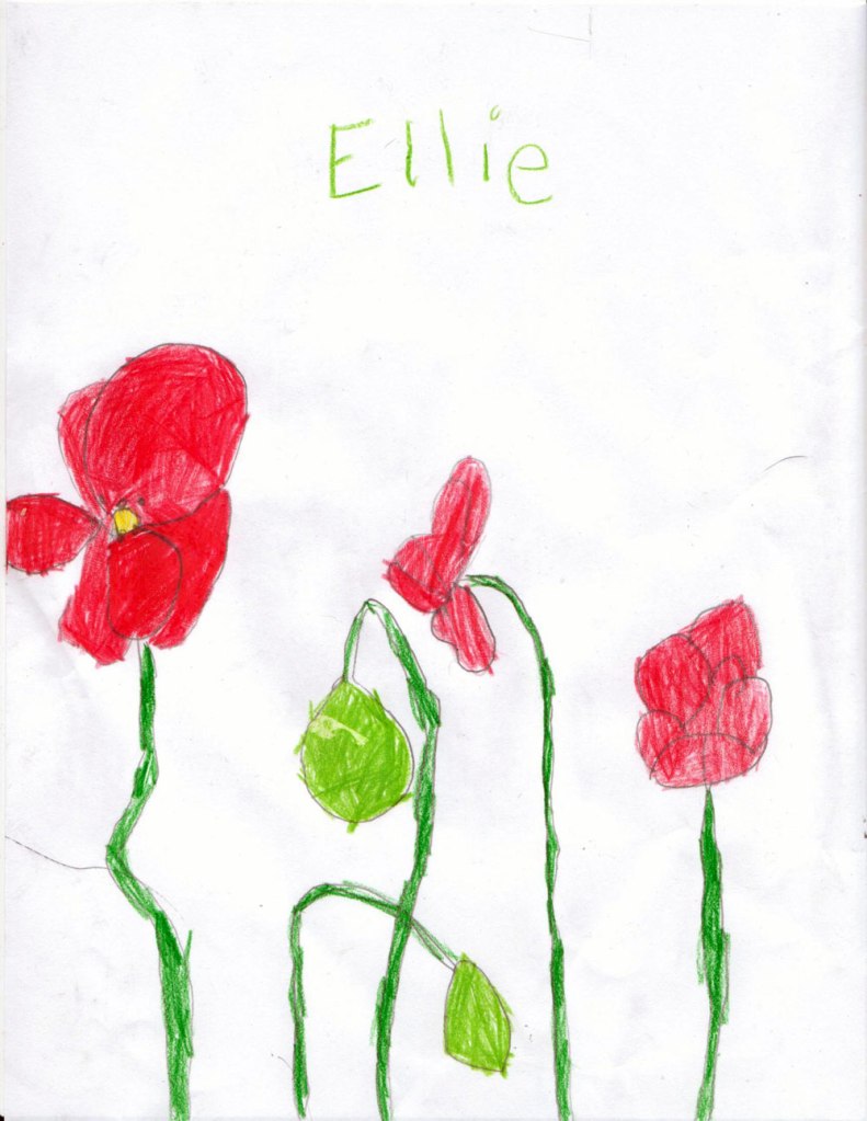 Child's drawing of poppies